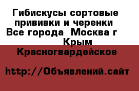 Гибискусы сортовые, прививки и черенки - Все города, Москва г.  »    . Крым,Красногвардейское